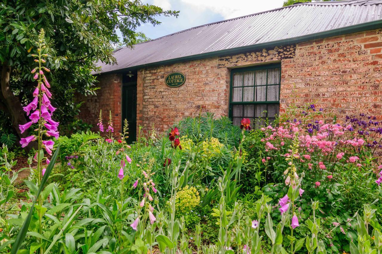 Laurel Cottage Richmond Zewnętrze zdjęcie