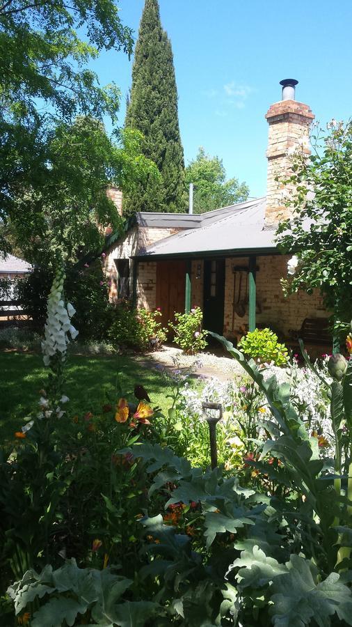 Laurel Cottage Richmond Zewnętrze zdjęcie